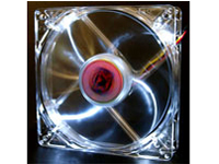 CLF-F1254 [White] �̐��i�摜