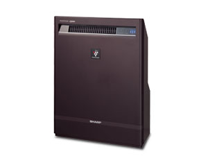 IG-D230-T [�u���E���n]