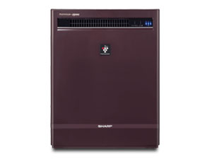 IG-D230-T [�u���E���n] �̐��i�摜