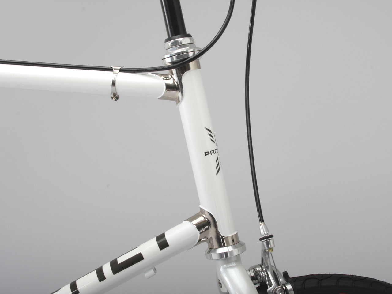 PROPHET P-202 [�z���C�g]