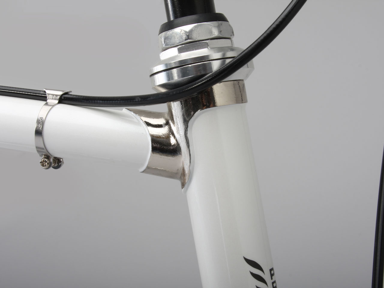 PROPHET P-202 [�z���C�g]