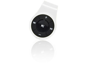 GH-BHARCW [�z���C�g]