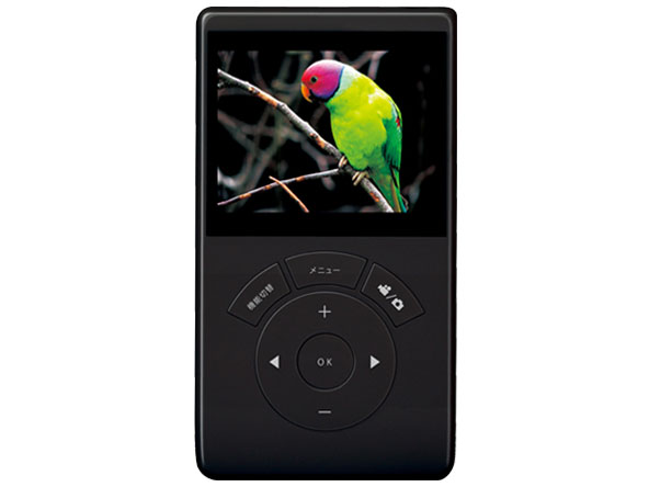 DS-DV1200BK [�u���b�N]