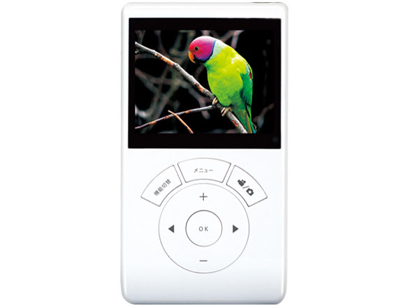 DS-DV1200WH [�z���C�g]