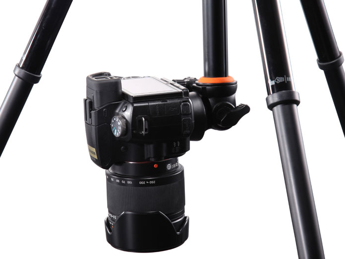 Nivelo 245BK [�u���b�N]