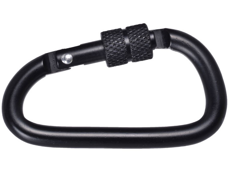 aosta ALPINA AOC-AL1PO-BLBK [�{�g�����C���u���b�N]