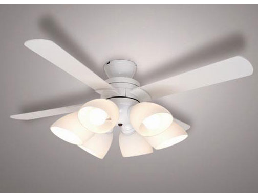 XZF-156213RL �̐��i�摜