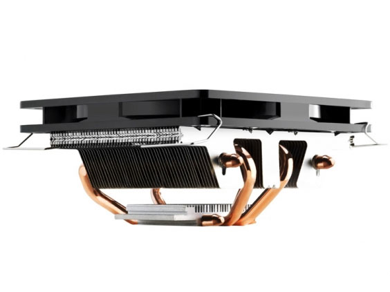 ���_�X���� RR-GMM4-16PK-J1