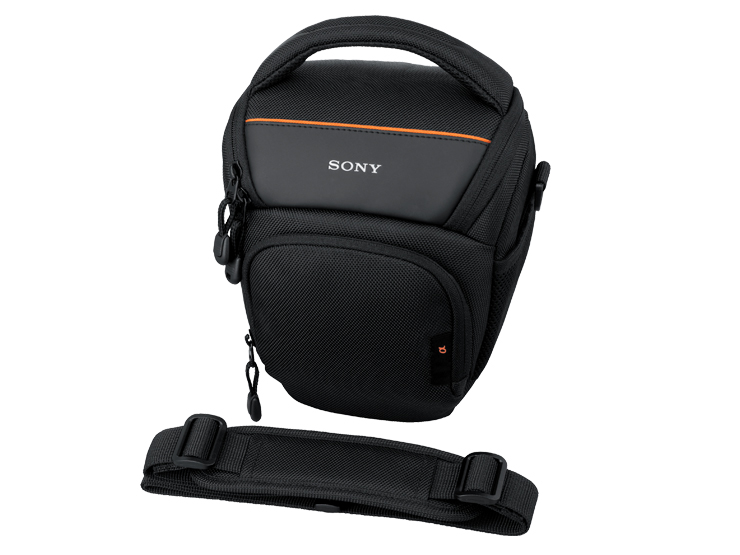 LCS-AMB �̐��i�摜