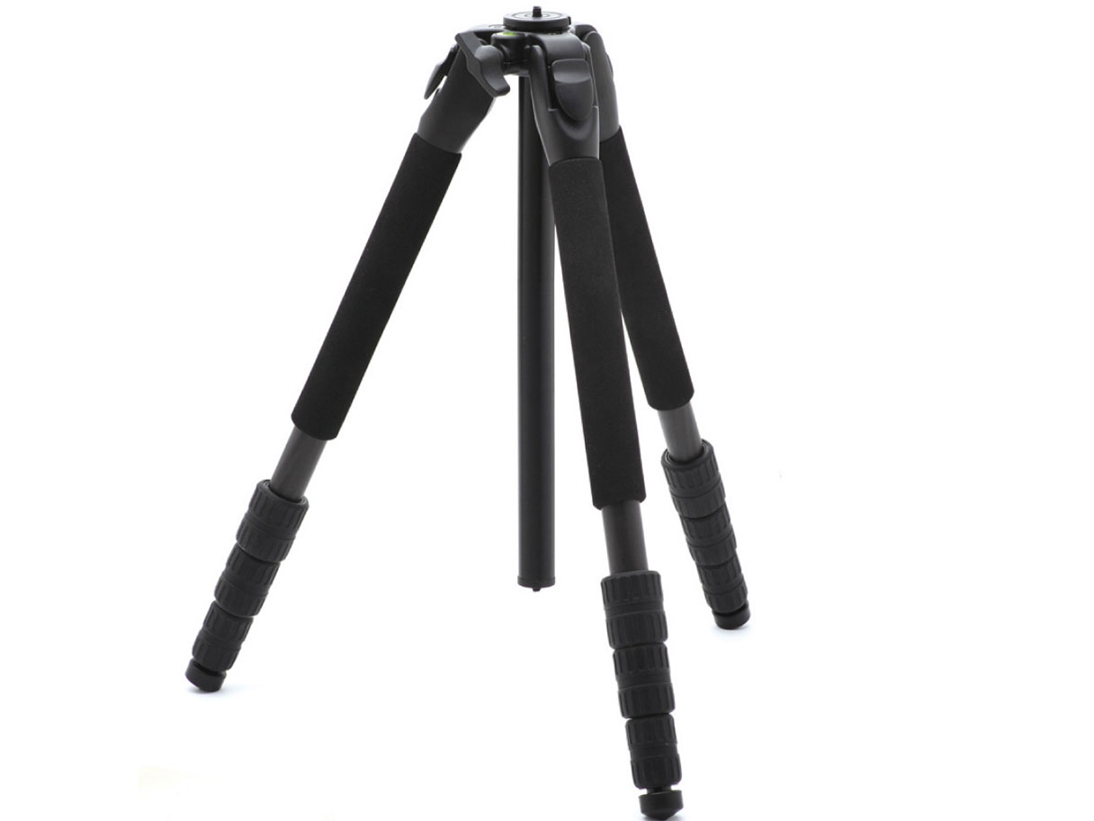 SC 204 �J�[�{�� �̐��i�摜