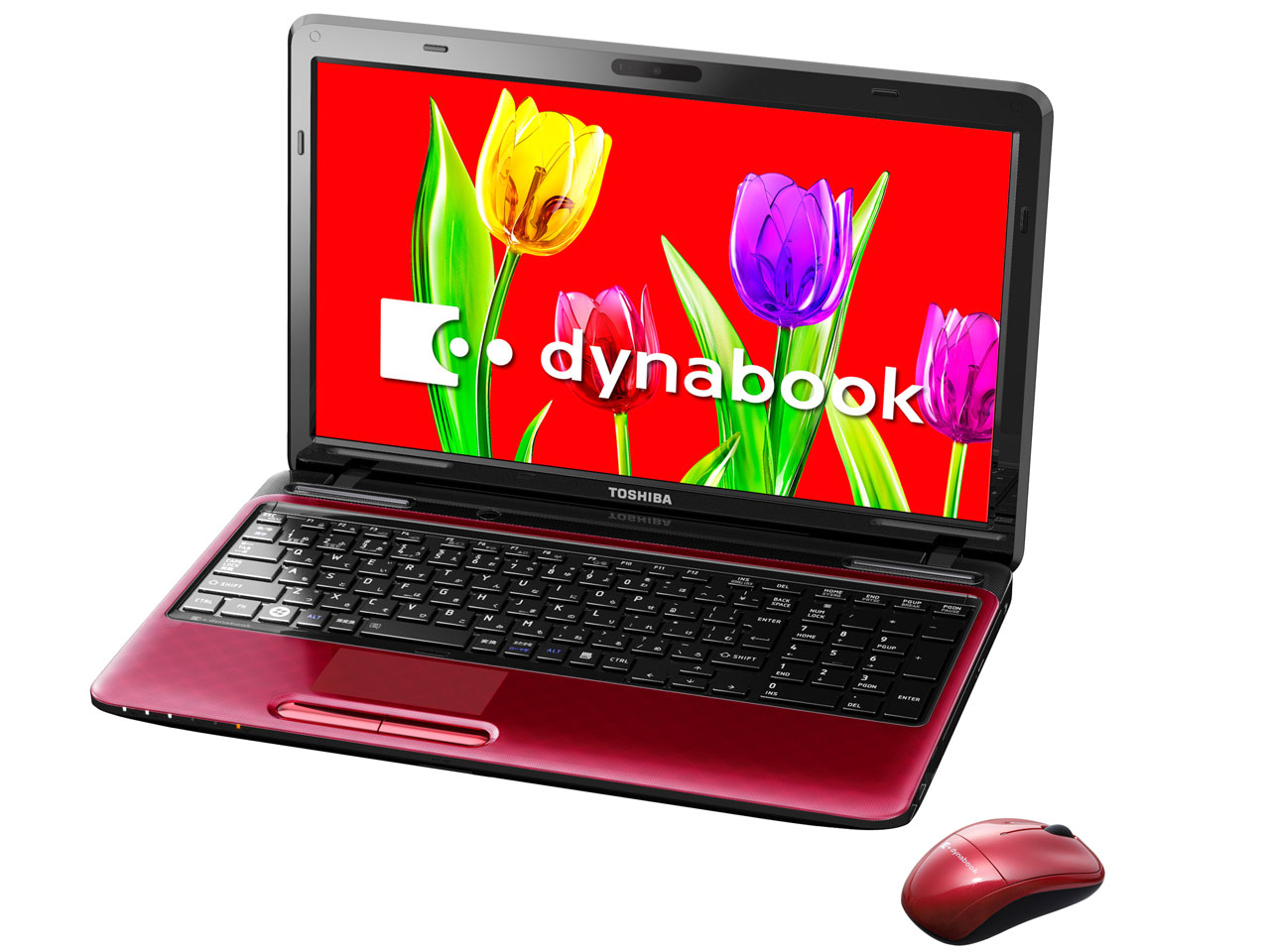 dynabook T451 T451/58ER PT45158EBFR [���f�i���b�h]