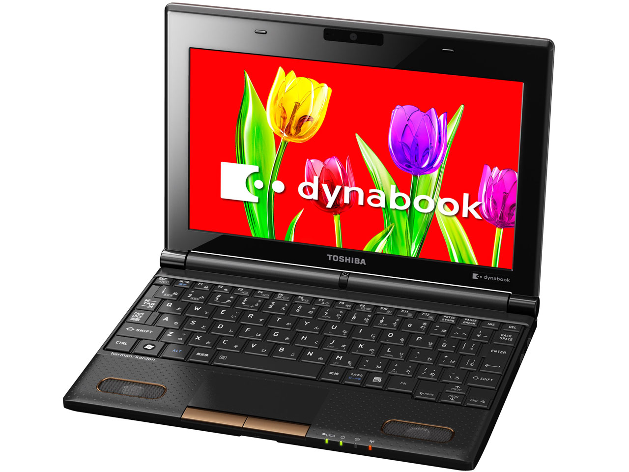 dynabook N301 N301/02EC PN30102ENVC [�J�J�I�u���E��]