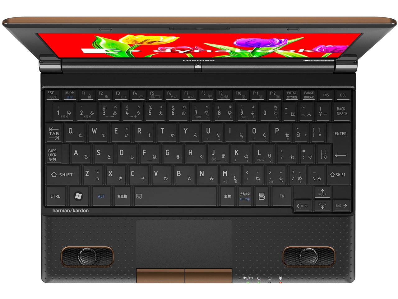 dynabook N301 N301/02EC PN30102ENVC [�J�J�I�u���E��]