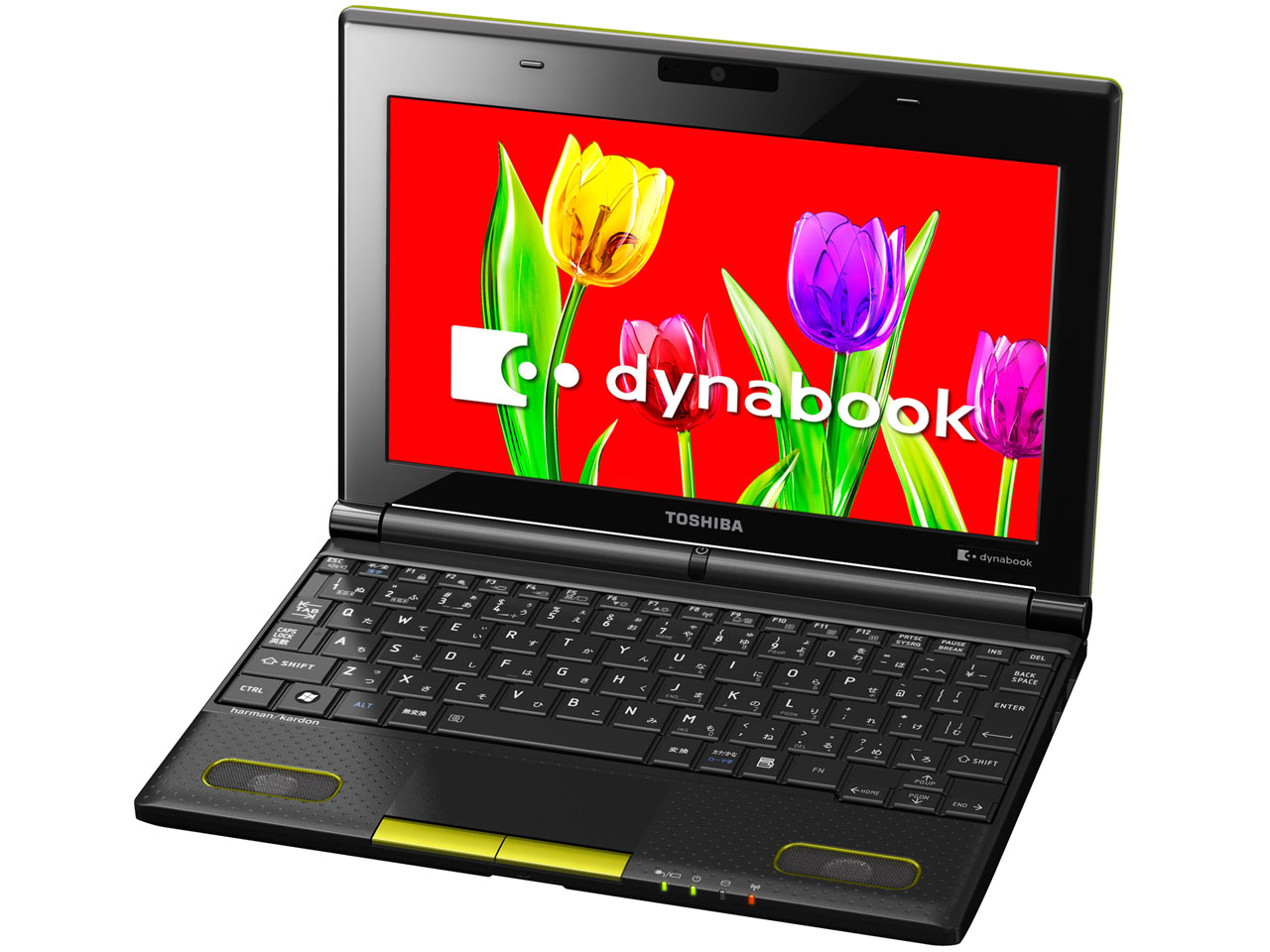 dynabook N301 N301/02EG PN30102ENVG [���C���O���[��]