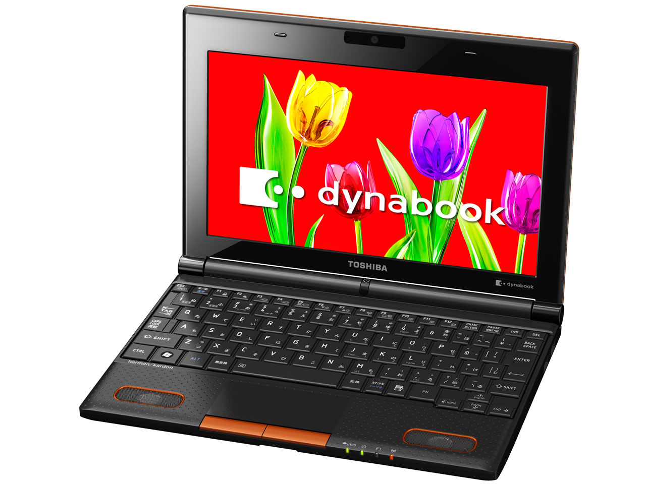 dynabook N301 N301/02ED PN30102ENVD [�p�b�V�����I�����W]