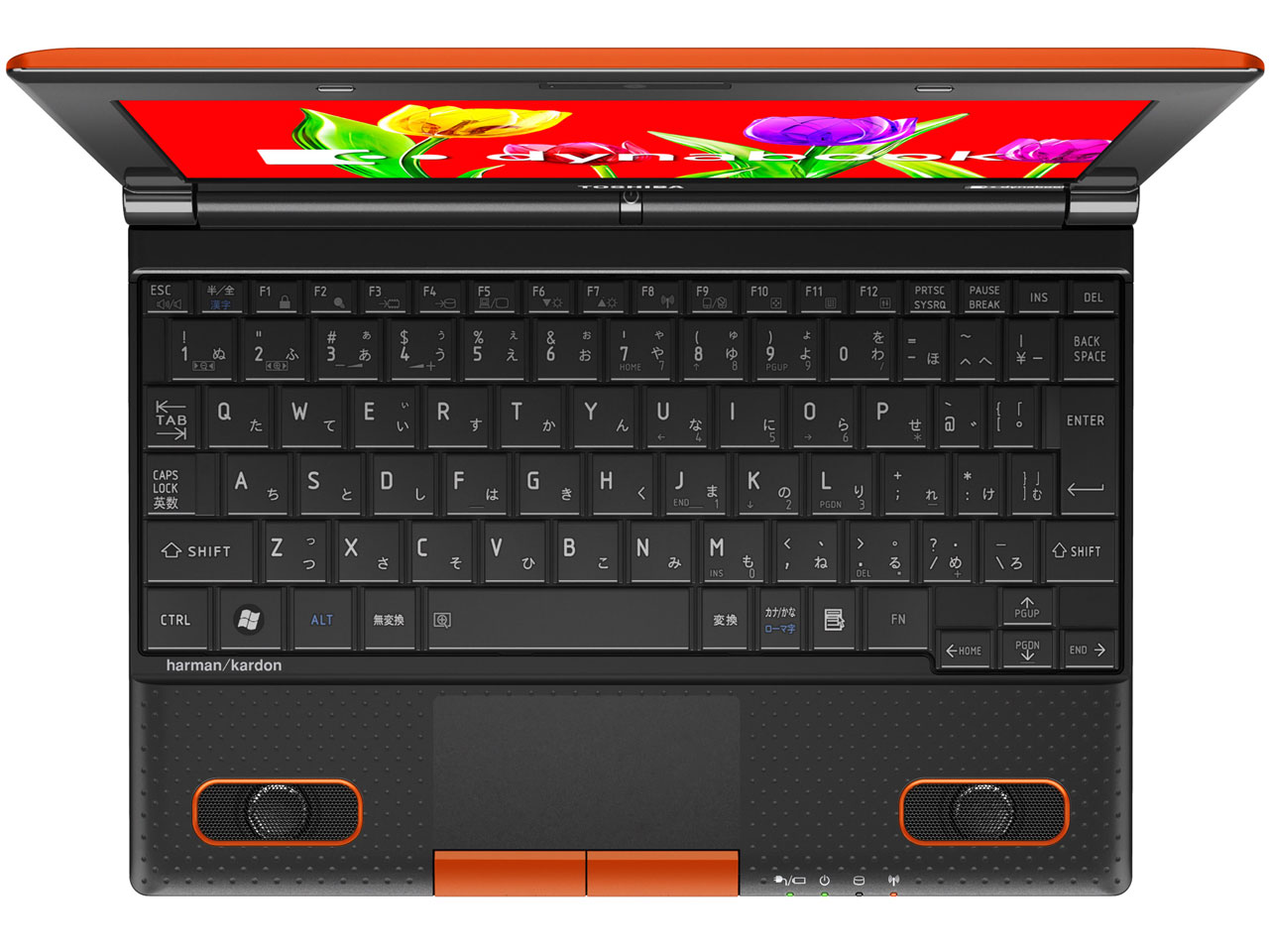 dynabook N301 N301/02ED PN30102ENVD [�p�b�V�����I�����W]