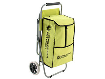 �A�E�g�h�A�L�����[�`�F�A C1-24 [���C���O���[��]