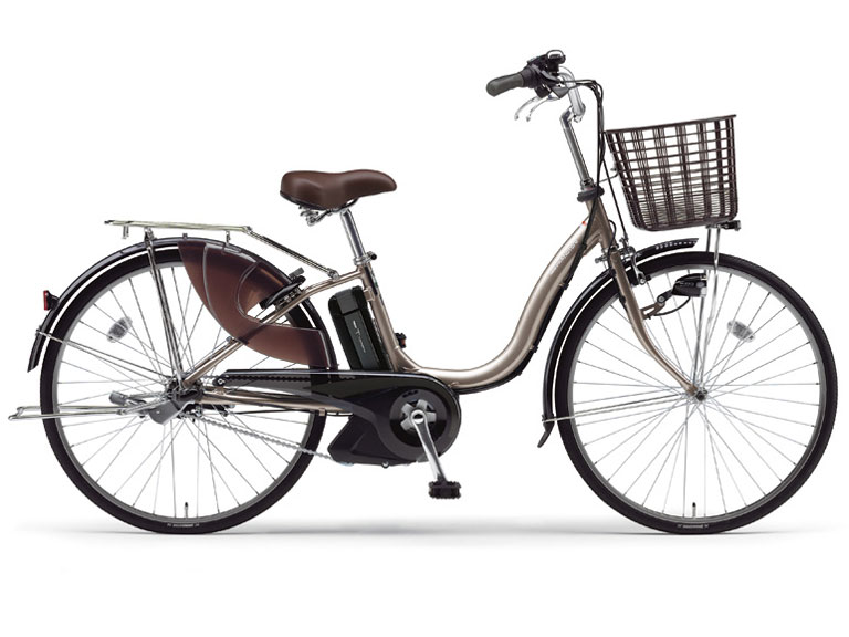 PAS �i�`����T PM26NT [�A�b�V���S�[���h] + ��p�[�d�� �̐��i�摜