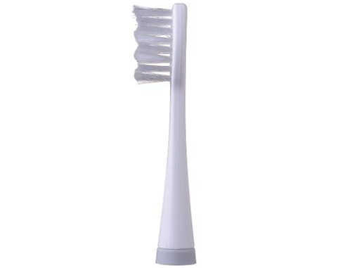 CHDA101 �̐��i�摜