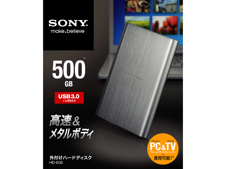 HD-EG5 SE [�V���o�[]