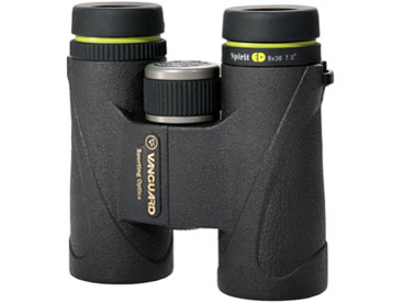 �X�s���b�gED 8360