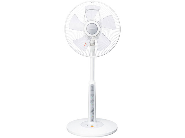 R30J-RN-S [�v���`�i] �̐��i�摜