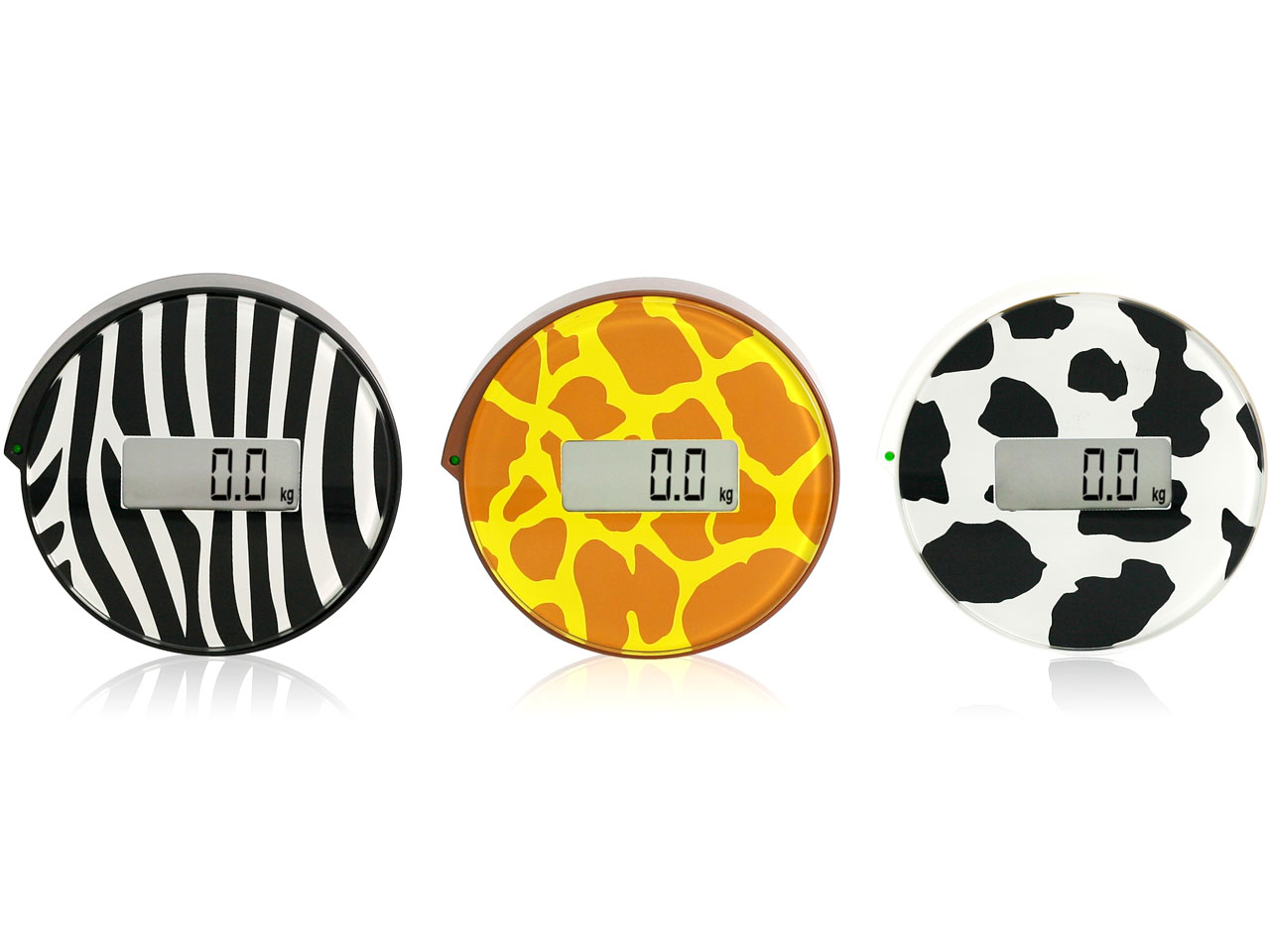 �V���O���X�e�b�v�X�P�[�� Animal circle BGO-14-BR [�W���t]