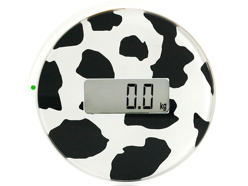 �V���O���X�e�b�v�X�P�[�� Animal circle BGO-14-WH [�J�E]