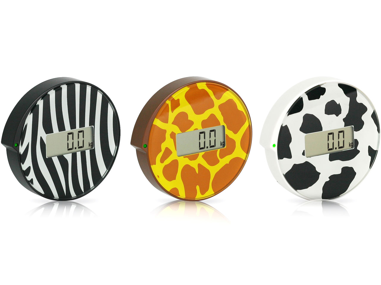 �V���O���X�e�b�v�X�P�[�� Animal circle BGO-14-WH [�J�E]