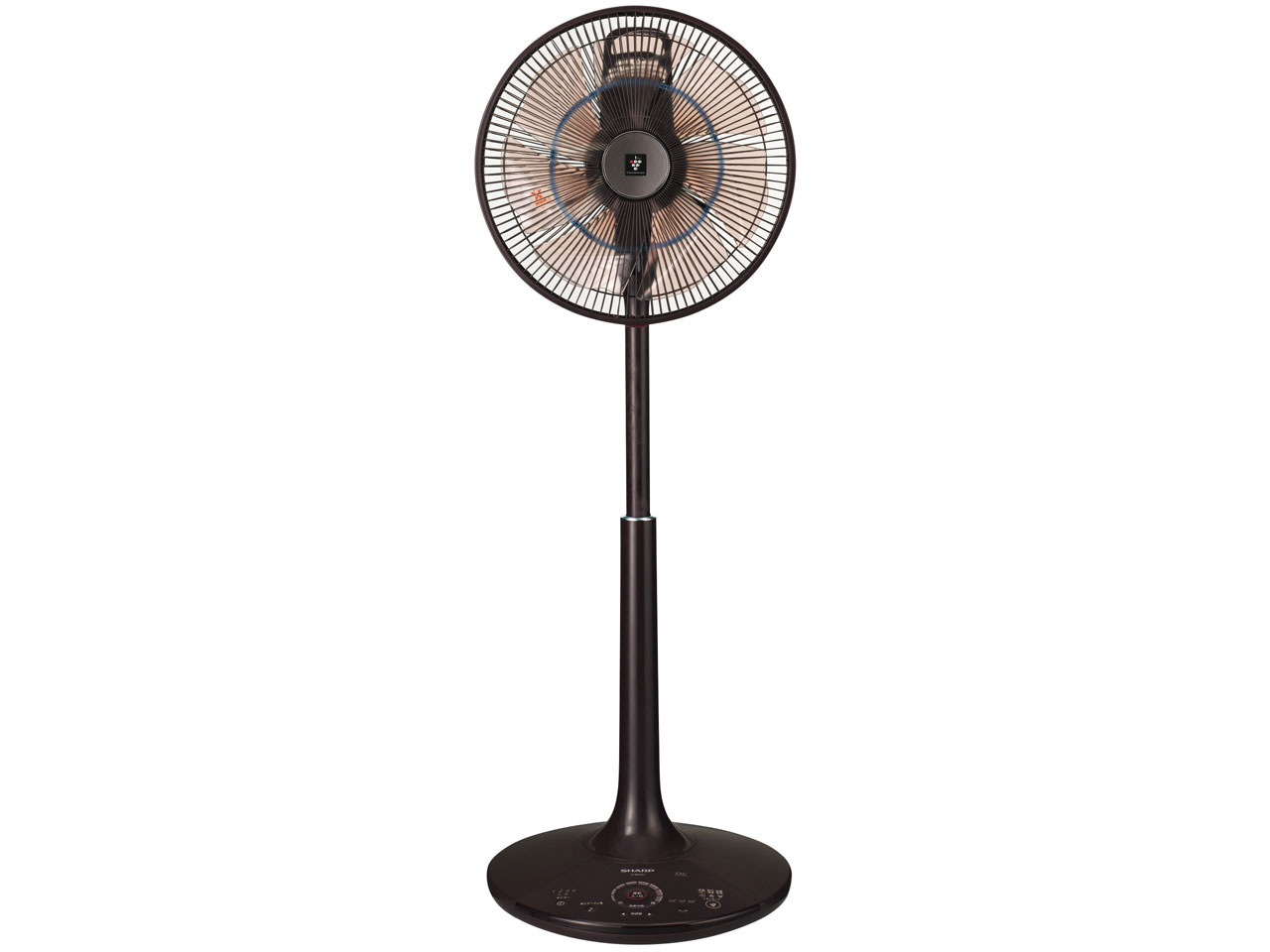 PJ-B3CXH-T [�u���E���n] �̐��i�摜