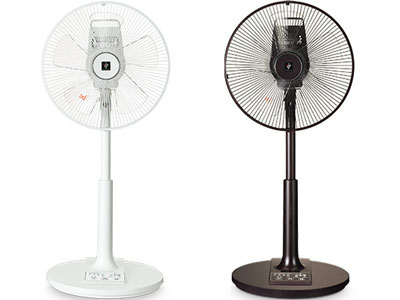 PJ-B3CLL-T [�u���E���n]