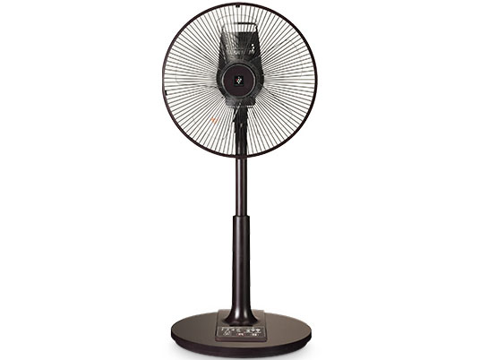 PJ-B3CLL-T [�u���E���n] �̐��i�摜