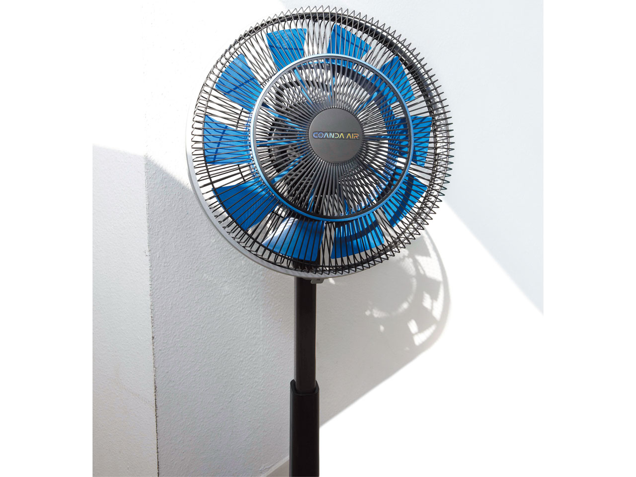 �R�A���_�G�A EF-D949B [�u���b�N]
