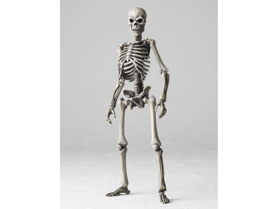 ���B���{���e�b�N No.020 �A���S�T�����̑�`�� �[�����m