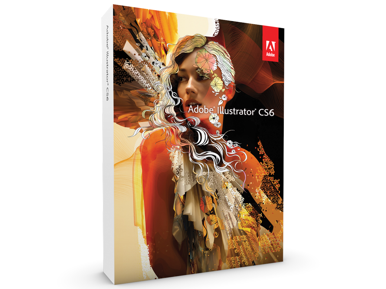 Adobe Illustrator CS6 Windows版 - その他
