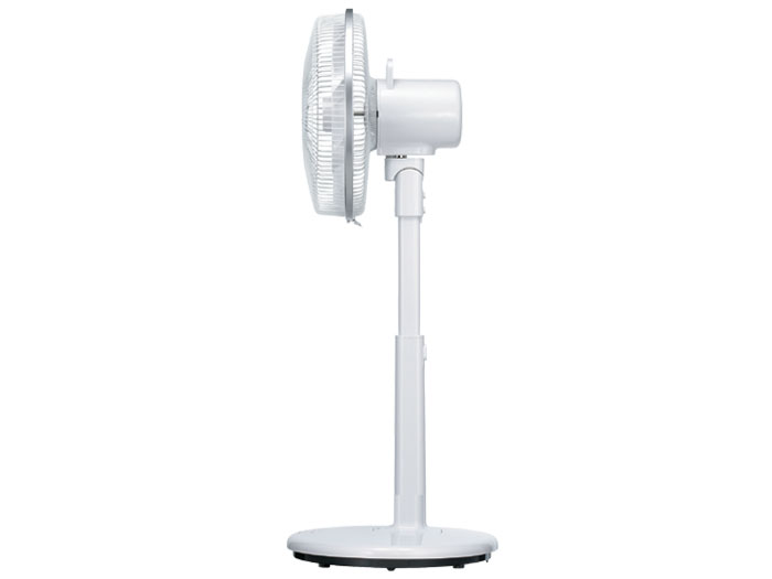 �R�A���_�G�A EF-4948W [�z���C�g]