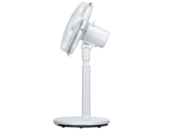 �R�A���_�G�A EF-4948W [�z���C�g]