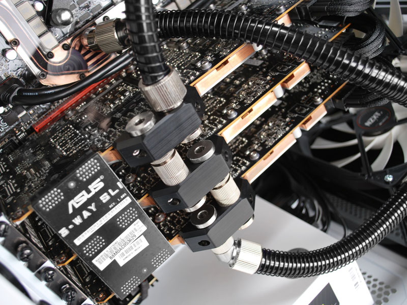 SWITCH 810 [�z���C�g]