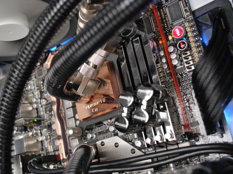 SWITCH 810 [�z���C�g]