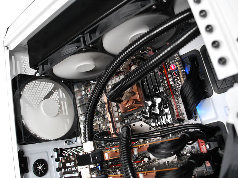 SWITCH 810 [�z���C�g]