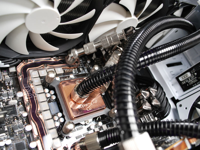 SWITCH 810 [�z���C�g]