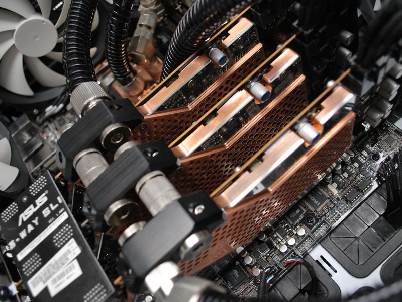 SWITCH 810 [�z���C�g]