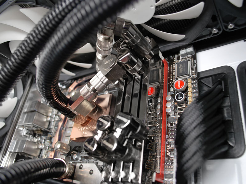 SWITCH 810 [�z���C�g]