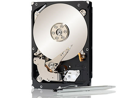 ST32000645NS [2TB SATA600 7200]