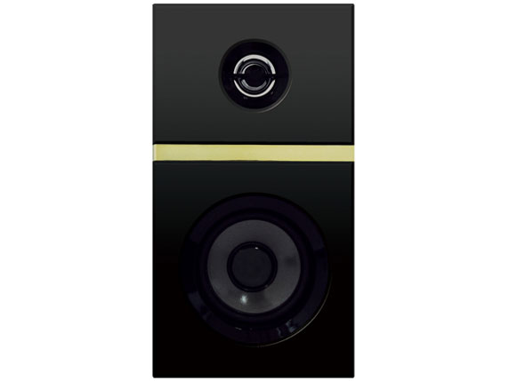 DS-HT116BK [�S�[���h/�u���b�N]