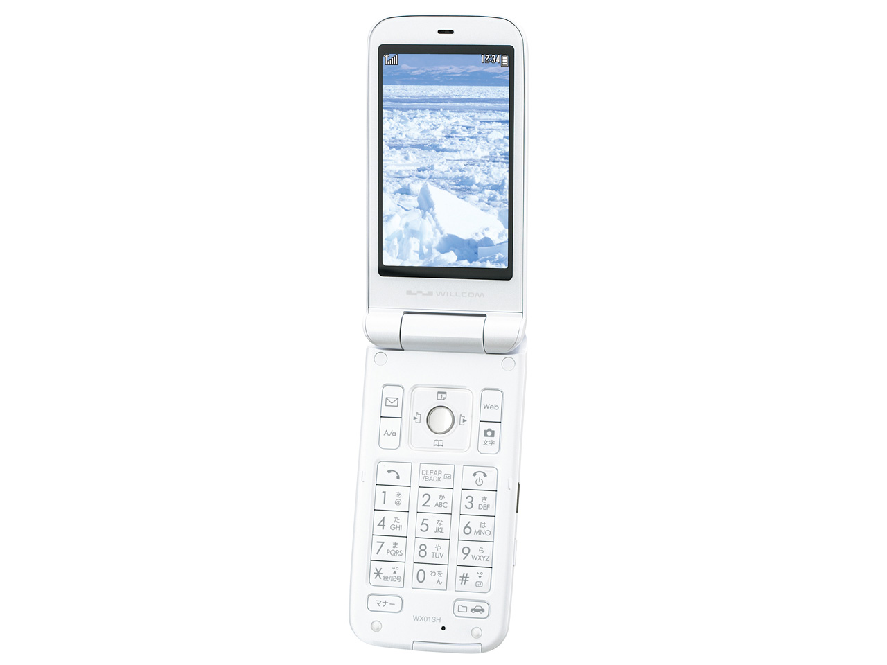 PANTONE WX01SH [�z���C�g]