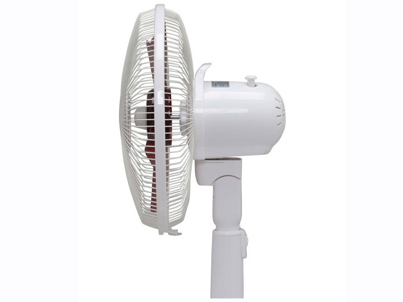 EFA-31-W/T [�z���C�g/�u���E��]
