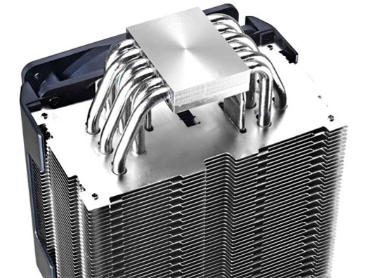 TPC 812 RR-T812-24PK-J1