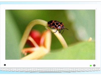 LC-1355W [13�C���` �z���C�g] �̐��i�摜