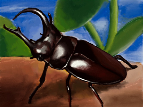 �V �G�S���� [3DS]